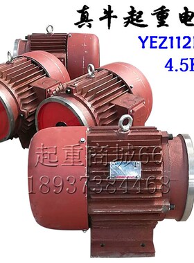 河南真牛起重电机YEZ112L-4 4.5kW搅拌建筑马达 锥形三相电动机
