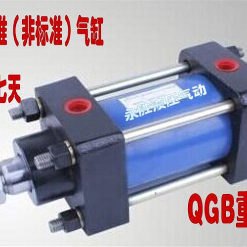定做标准非标DNC CA2 CS1 CQ2B ADVU CDM2B DSNU气缸