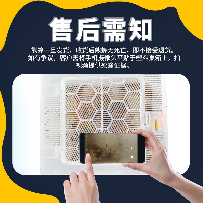 授粉熊蜂大棚期通用蜂群蓝莓草莓番茄黄瓜北京农科院熊蜂箱,农用物资,授粉蜂,淘宝优惠券,粉丝福利购,淘宝优惠卷