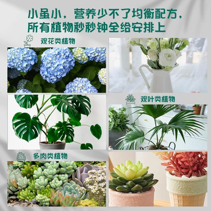 植物缓释营养棒养花通用型化肥家用室内盆栽复合肥料养花卉绿植