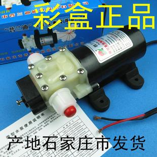 普兰迪自吸增压抽水泵隔膜泵w直流水泵