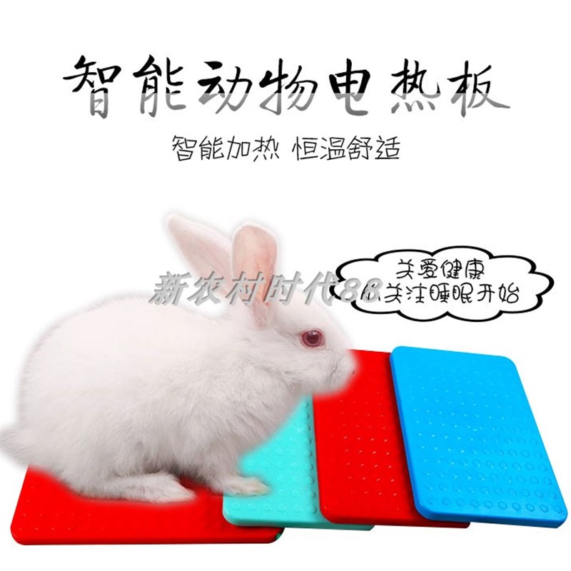 兔子加热板狗猫用电热板小型动物取暖恒温板宠物电热板保温设备