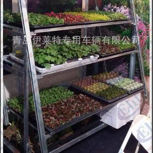 小盆花 厂家推荐 花店 展示花车 周转工具台车 卖场