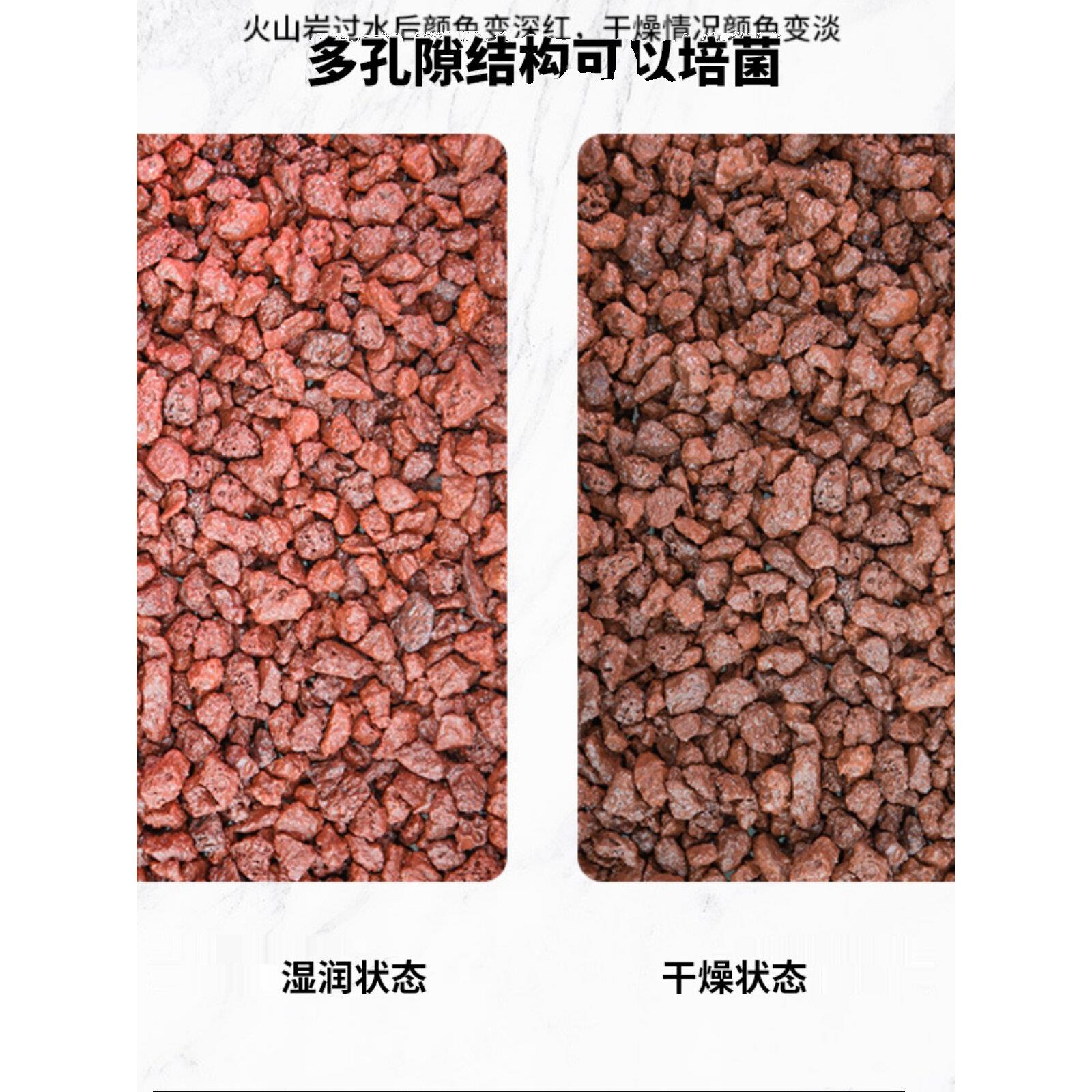 广西火山岩颗粒多肉天然铺面石鱼缸水族箱过滤兰花种植土红色垫底