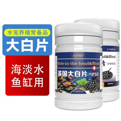 正品英国大白片鱼用鹦鹉鱼兰寿龙鱼鱼缸观赏鱼可用白点水族鱼