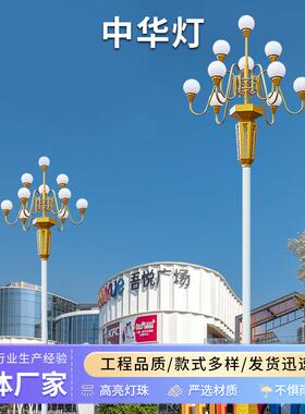 中华灯市政道路户外大型景观灯6米8米10米景区公园广场LED中华灯