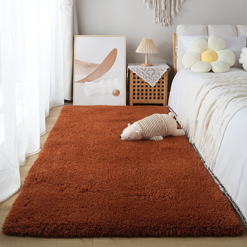 地毯卧室床边毯加厚羊羔绒风客厅茶几地垫飘垫衣帽间毛绒垫