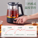 欧美特煮茶器黑茶煮茶壶喷淋式 办公室小型煮茶炉全自动蒸汽蒸茶器
