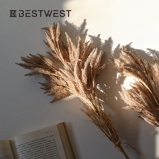 Best west 芦苇草仿真花轻奢假花摆件装饰餐桌插花客厅干花艺造景