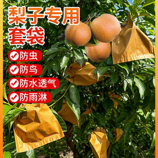 桃子套袋桃袋油桃毛桃黄桃套袋透气水果套袋果袋水蜜桃袋防虫
