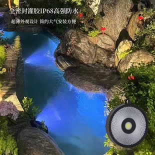 鱼池灯锦鲤鱼池水下灯鱼池造景专用低压灯冰蓝光水池灯挂壁安装