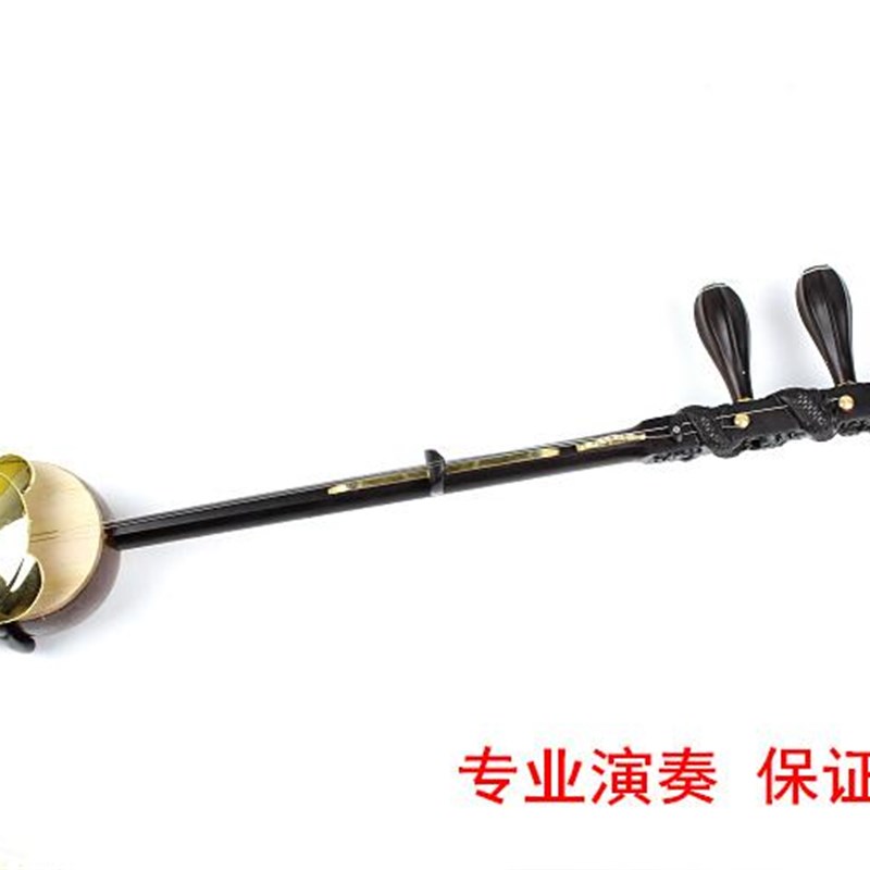 板胡乐器高档黑檀板胡非洲小叶紫檀板胡盘龙豫剧板胡