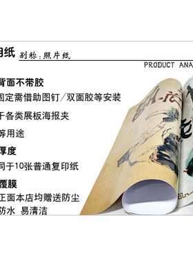 牡丹客厅装饰画沙发背景画卧室床头图富贵牡丹雀挂画