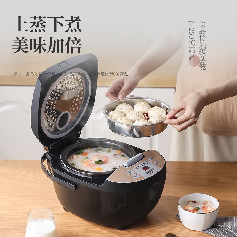 半球电饭煲家用LL5升多功能煮饭锅迷你小型智能电饭锅1-2--人