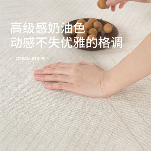 OO 客厅地毯法式卧室床边毯高级感奶油风沙发茶几家用地垫