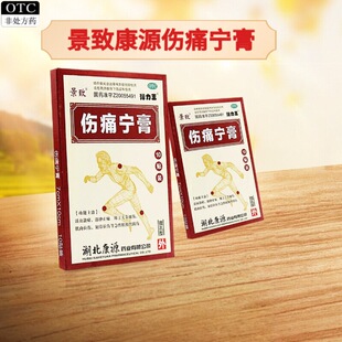 景致康源伤痛宁膏10片消肿止痛扭伤肌肉拉伤活血散瘀消肿止痛