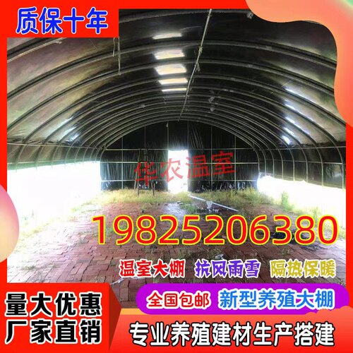 大棚钢管骨架拱棚种植养殖椭圆管连体动棚全支架