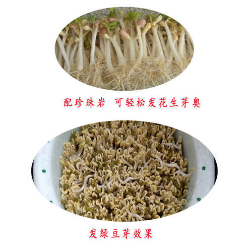 种花生专用神器泡生花生芽的发豆芽机家用大号发芽桶绿豆芽罐机