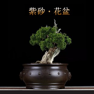 紫砂兰花盆大号古典老庄黑松榕树阳台摆件客厅盆景盆手工陶瓷