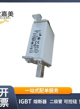 170M1561170M1562快速熔断器型号齐全现货直发量大价优