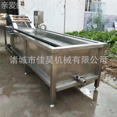 小果蔬苹果FMM清菜洗机器 全自动水果洗打型蜡机 气泡蔬清清洗机