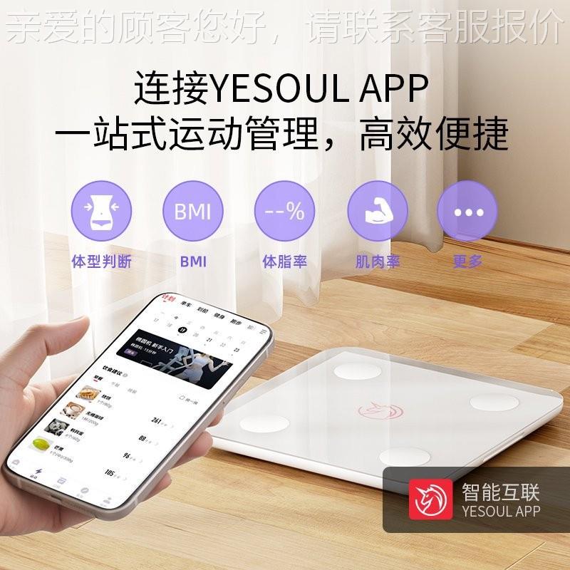 野O小兽）（YESUL身器健材配件小礼物yeso04644ul智能体脂秤BS12