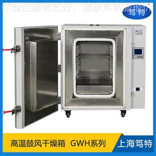 50GWH 笃特仪器G4WH0大0工业高温烘箱0度电热恒温箱 9030度高温鼓