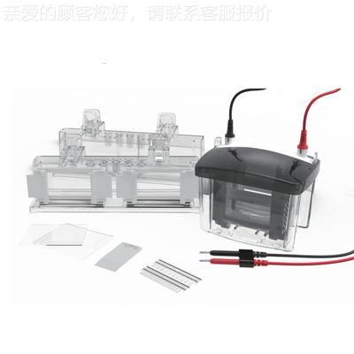 SUB01Mini小型电泳仪WB垂直水平电泳槽蛋印槽转制胶基槽础高白电