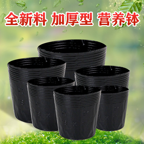 营养钵 育苗袋 营养袋 营养杯 育苗盆 多肉蔬菜种植育苗花盆 育苗