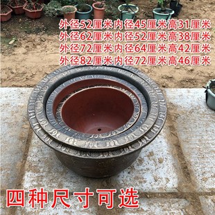 特大号花盆塑料加厚仿陶瓷铁树花盆口径60厘米龙缸果树专用盆包邮