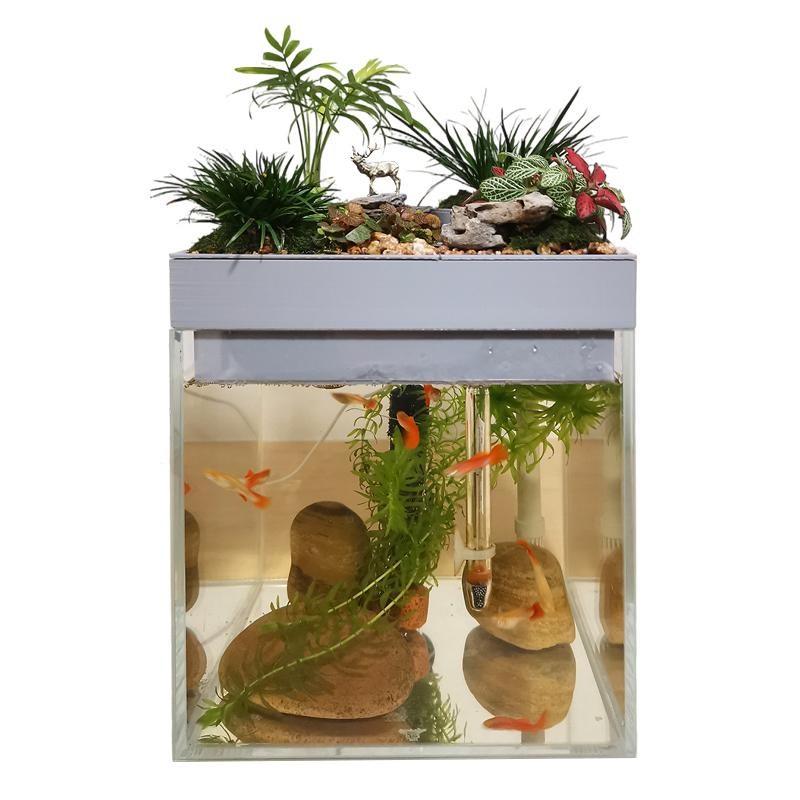 上部沼泽过滤桌面生态自循环办公桌书桌水培植物微景观造景小鱼缸