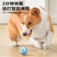 边牧犬专用逗狗狗玩具球神器自嗨解闷宠物犬小狗智能自动遛狗球