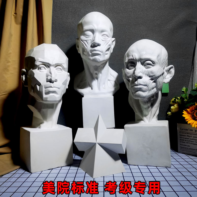 美术教具石膏像伏尔泰海盗琴女大卫头像阿格里巴画室常用模型包邮