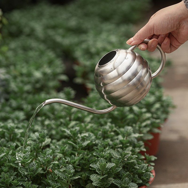 轻涌不锈钢浇水壶/喷壶高颜值家用多肉专用浇水神器超细雾按压壶