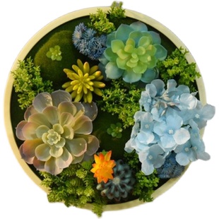 唯美立体挂墙绿植多肉画框壁挂件 门口过道墙上装饰垂挂植物定制