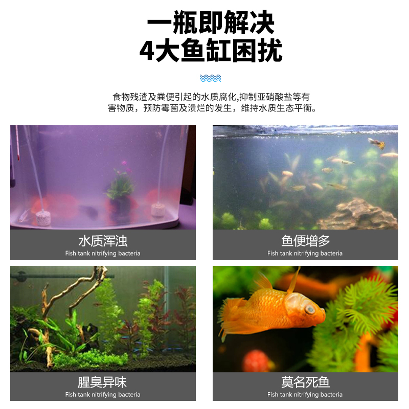 硝化细菌鱼缸用净水剂鱼药消化活菌养鱼用品净化水质稳定剂硝化菌