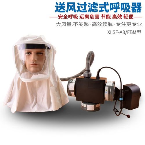 励德电动送风防毒面具喷漆农药化工气体呼吸顺送风机防毒尘全面罩