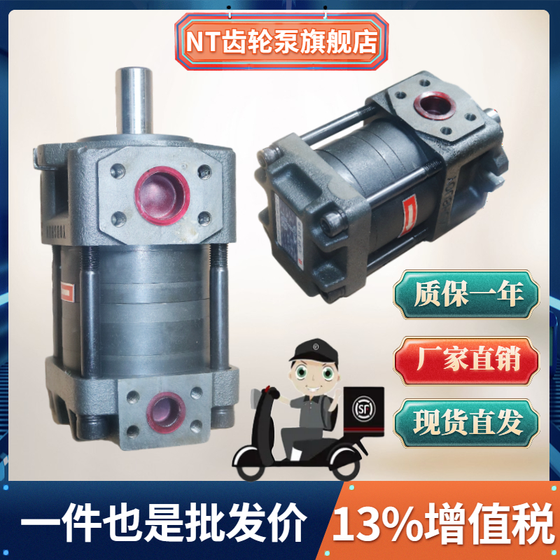 NT2G10F G12F G16F NT3G20F G25F G32F NT4G40F G50F G63F油泵