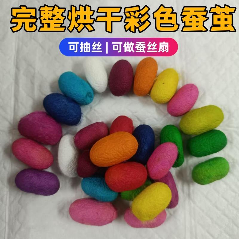 彩色蚕茧可做扇子染色蚕茧可抽丝可做蚕丝扇烘干diy材料