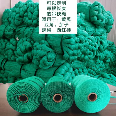 大棚吊秧绳轴夹蔬菜黄瓜辣椒尼龙绳爬藤拉绳米网吊蔓绳防鸟网引绳
