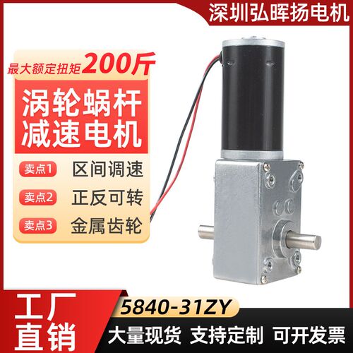 微型双轴直流减速电机12v24v直角蜗轮蜗杆5840-31Z大扭力小型马达