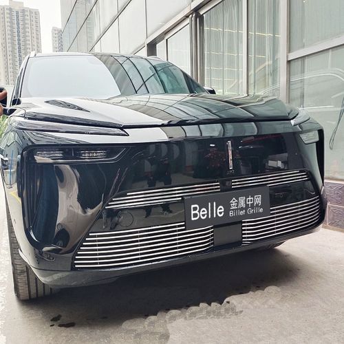 魏牌蓝山防虫网前脸改装件金属中网外观装饰条保险杠亮条