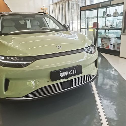 零跑改装件专用领跑金属中网装饰汽车前脸外观防虫网亮条