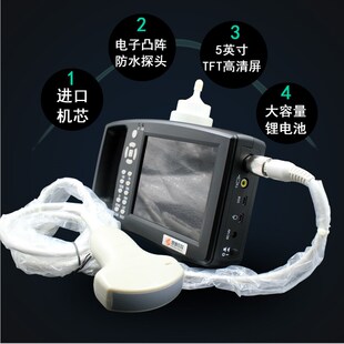 便携式 猪用超兽用超猪羊牛狗母猪怀孕检测仪器探头宠物