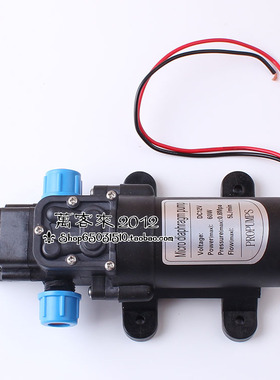 2 W微型电动隔膜泵带压力关直流洗车水泵喷雾器水泵