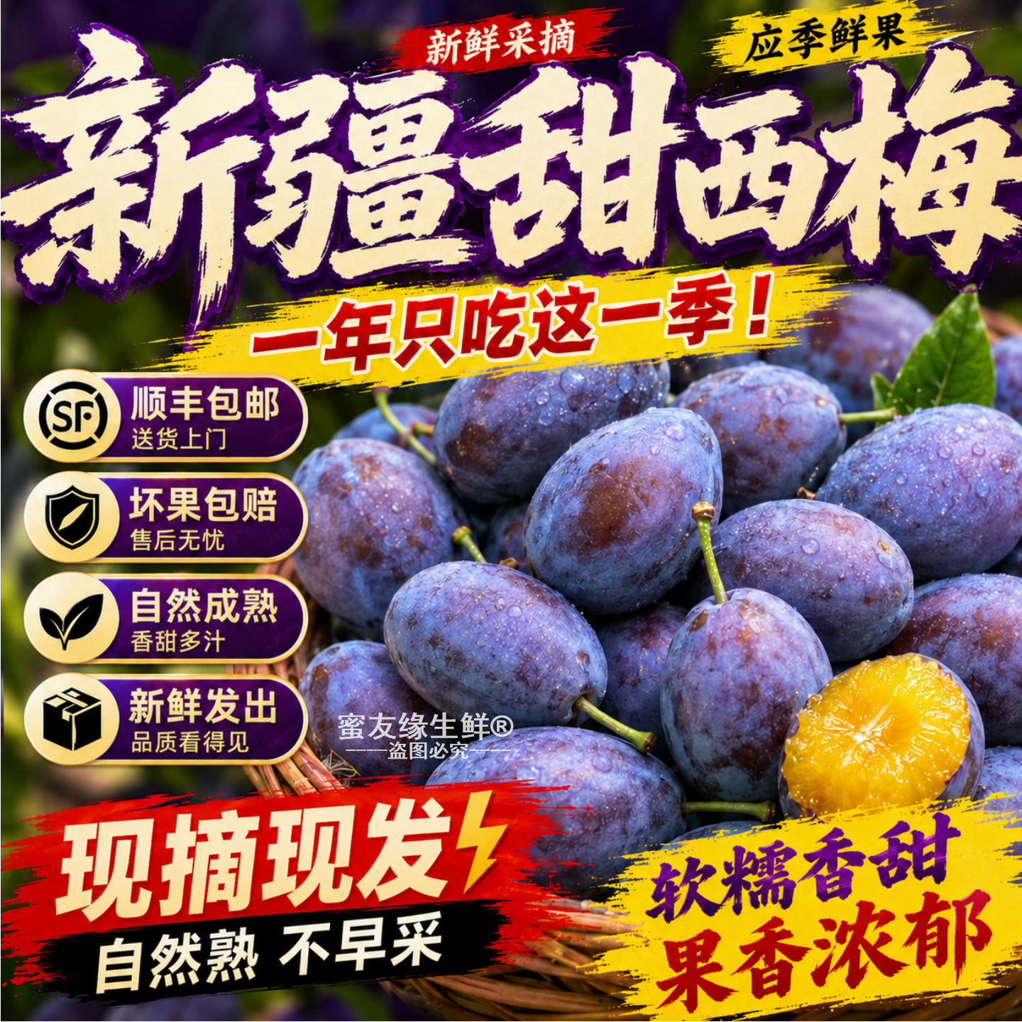 新疆甜西梅新鲜水果西梅鲜果蓝蜜大西梅新鲜西梅孕妇水果顺丰包邮