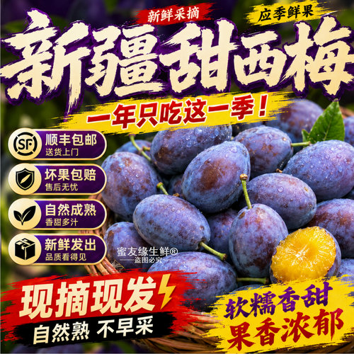 顺丰包邮新疆蓝蜜大西梅鲜果