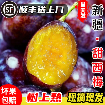 【顺丰包邮】正宗新疆甜西梅鲜果