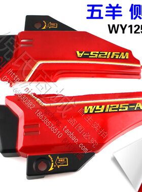 适用于五羊摩托车WY125-A侧盖 塑料侧边保护盖 边盖电瓶盖护板侧