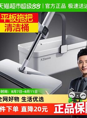 大卫平板拖把大号家用懒人一拖2024新款免手洗拖地神器P10+R2组合
